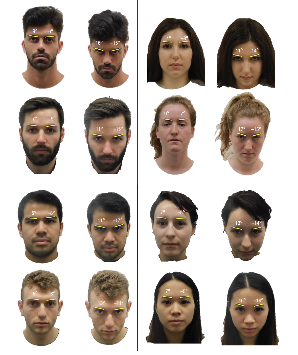 Eight faces shown level and tilted downward, with changes in apparent eyebrow angle marked.